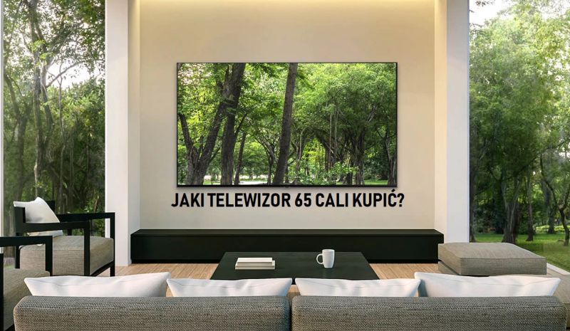 Jaki telewizor 65 cali kupić