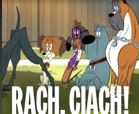 Rach, ciach!