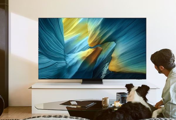 Samsung S95F QD-OLED